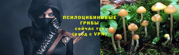 стафф Магадан