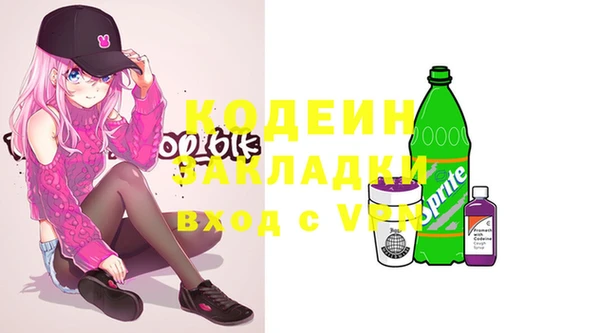 крисы Магас