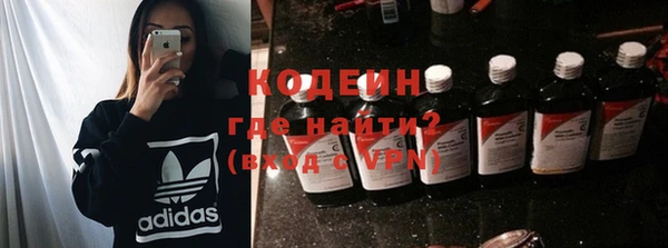 крисы Магас