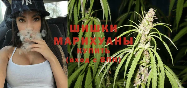 крисы Магас
