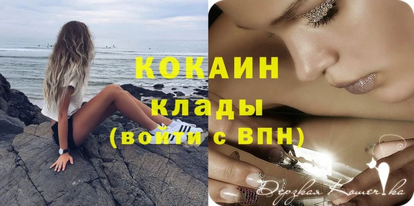 крисы Магас