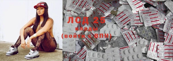 крисы Магас
