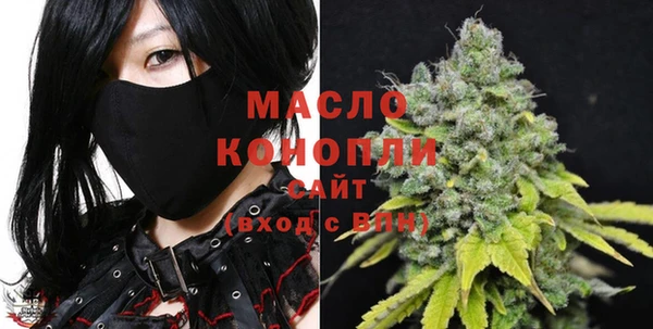 крисы Магас