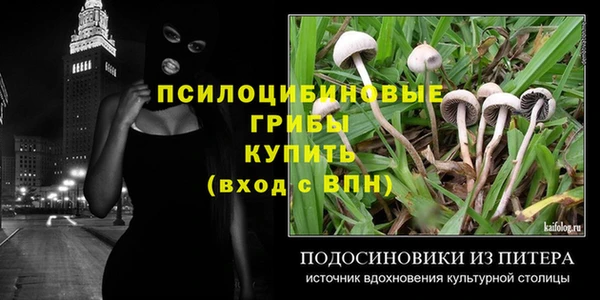 стафф Магадан