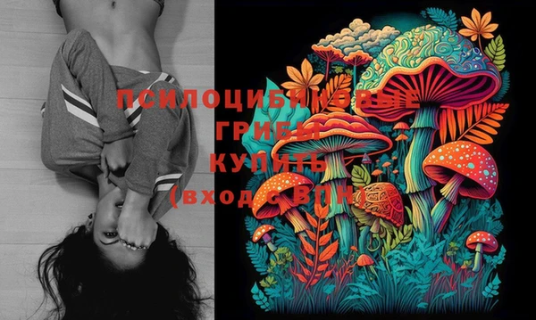 стафф Магадан
